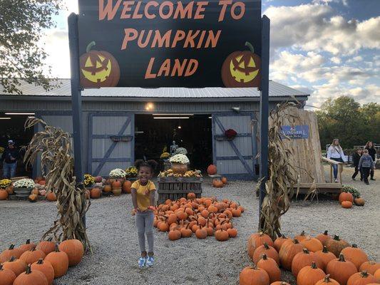 Windmill Farm Market