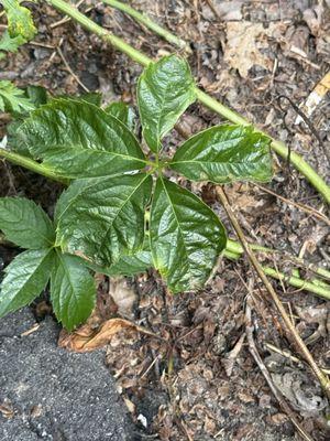 Maine Seasons Property Management