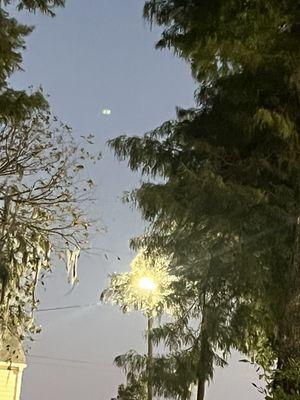 Concordia Apartments