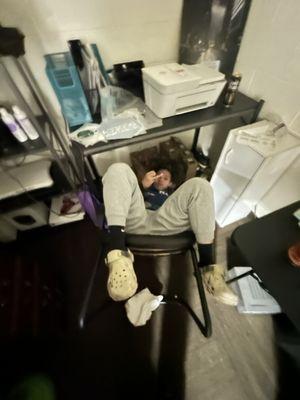 Ants Home Restoration