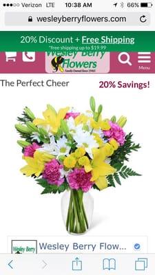 Flower Delivery Express