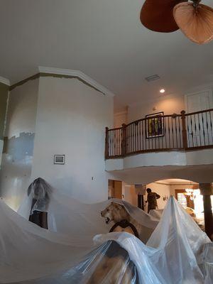 AA Royal Painting Services