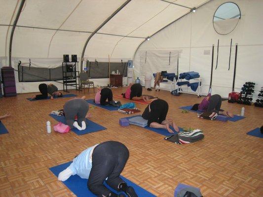 Louise Green Harrison