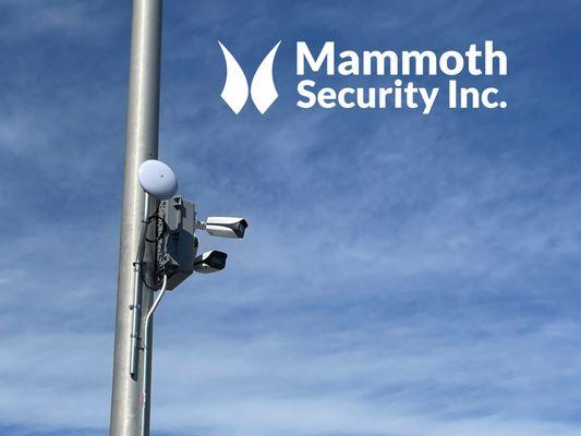 Mammoth Security