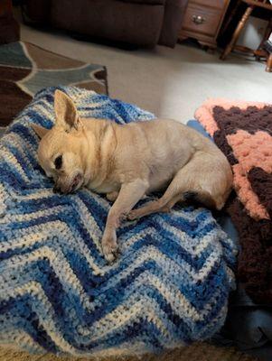 Mountaintop Animal Hospital