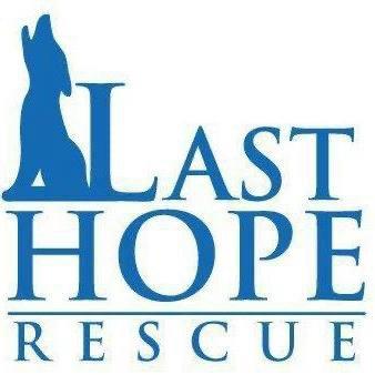 Last Hope Rescue