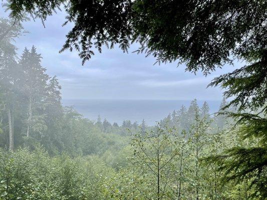 Tillamook Head Trail