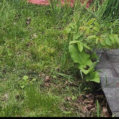 Davis Home Improvements