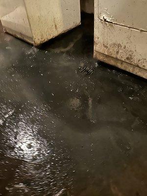 We snaked out a main sewer. Our services and many and broad. We will make sure you are clean and running smoothly!