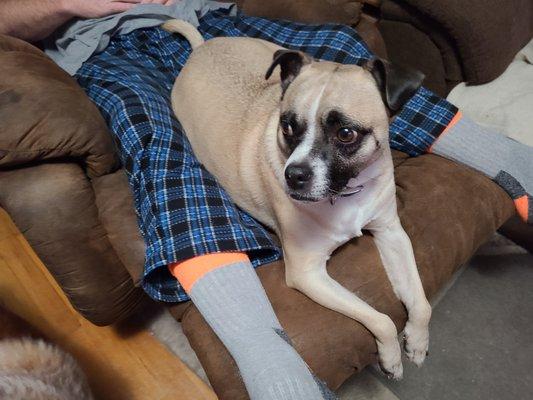 Quincy Humane Society