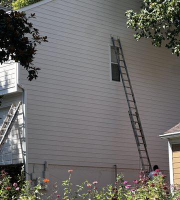 Georgia Wildlife Removal