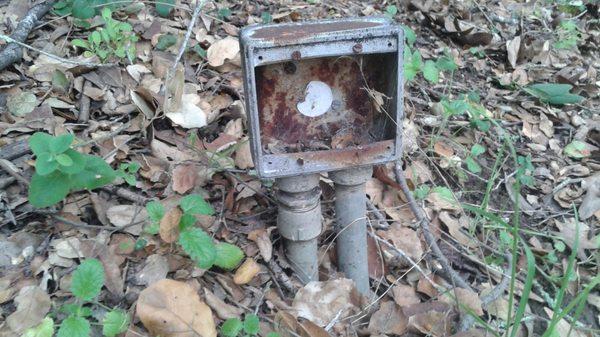 Cal State Hayward Ecological Field Station Ruins