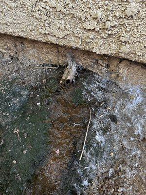 Palm Mission Village & Estates