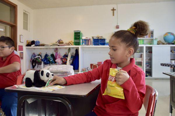 St Charles Borromeo School