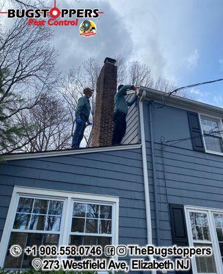 Bird control!
***
@thebugstoppers
Call us 908.558.0746
Whatsapp +1 908.764.4981
Bugstoppers Pest Control LLC