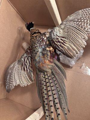 Woodland Creek Furniture