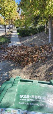 Armando Gardening Service