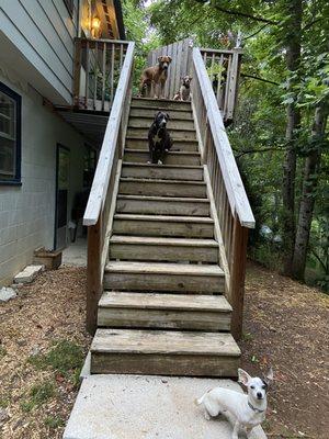 Serenity Care Solutions