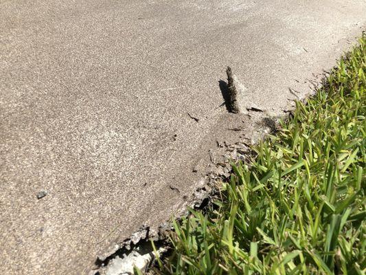 Orlando Driveway Repair