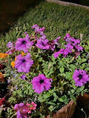Santa Ana Pueblo Swimming Pool