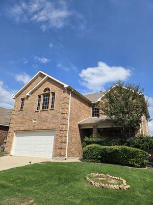 Neon Monkey Services