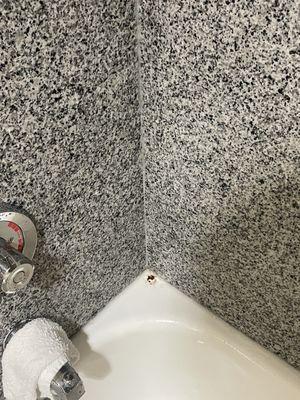 Comfort Suites Foley-North Gulf Shores