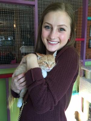 Four Paws Pet Adotions