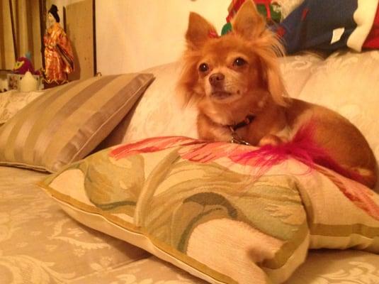 We Clean Green Los Angeles