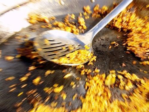 Paella Party Catering