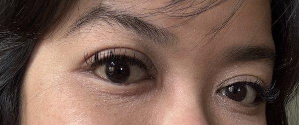 Body and Soul by Carla