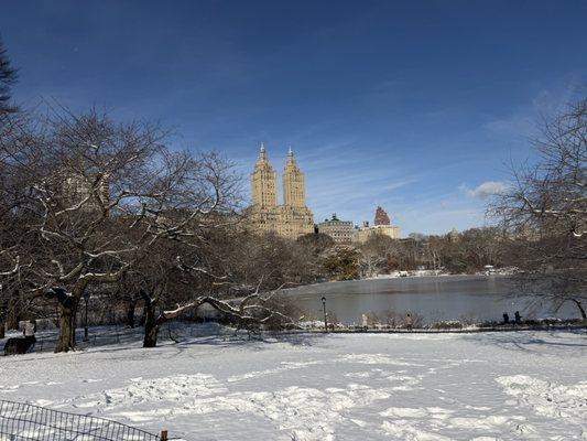 Beautiful in the snow