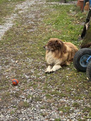 Angle Acres Greenhouse