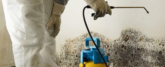 Quick-Dry Flood Services