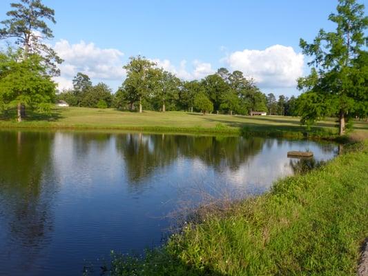 Neches Pines Golf Course
