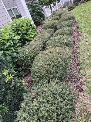 J&C Property Maintenance