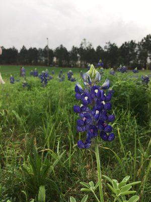 New Haven House of Prayer