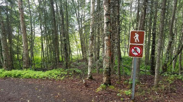 Scout Lake State Recreation Area