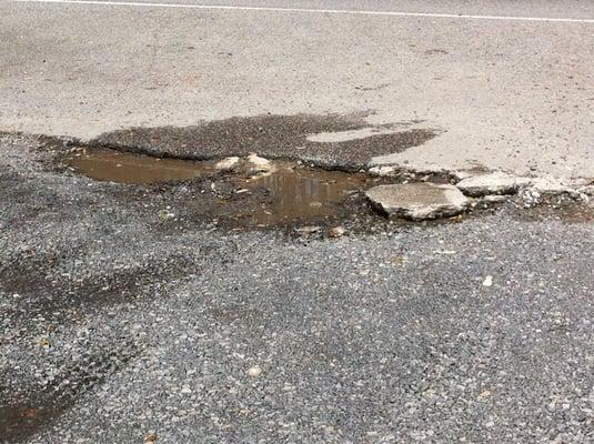 Bombadil's Garden and Gifts