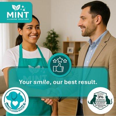 MINT Cleaning Solutions