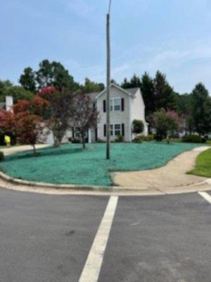 Carolina Hydroseeding