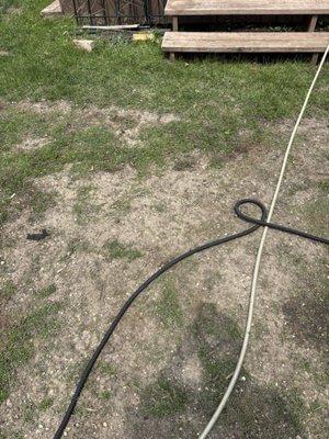 If you can blow the photo up, you will see all the rock