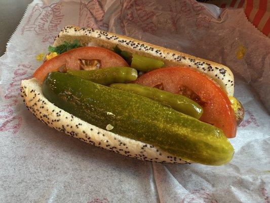 Chicago Style hot dog!