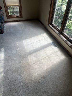 Spot was next to window which they cleaned