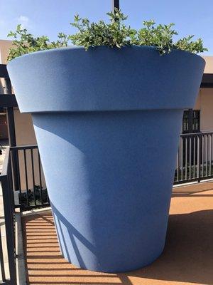 Villa Esperanza Services