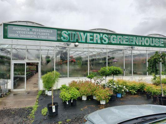 STAYER'S GREENHOUSE