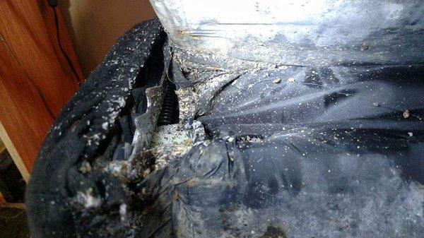 Ecoliving Pest Solutions