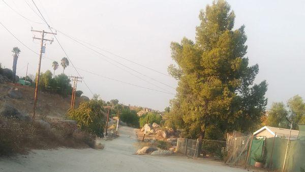 Palm View Rv Park & Campground