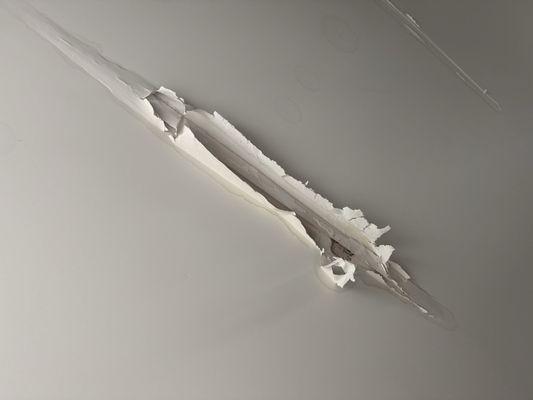 True Homes the Oaks of Landis