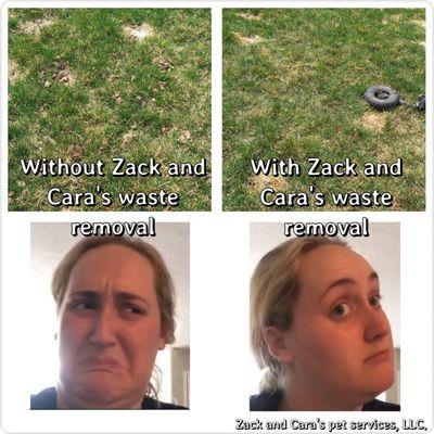 Zack & Cara's Pet Services