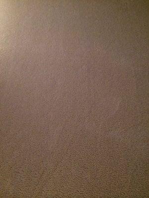 Boyle's Superior Carpet Cleaners